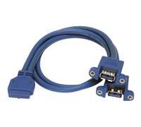 StarTech.com Câble USB 3.0 USB3SPNLAFHD monté sur panneau 2 ports A vers carte mère F/F
