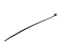 StarTech.com Colliers de Serrage 25 cm Noirs 100pcs - Attache câble - 25.4 cm - noir - Conformité TAA (pack de 100)