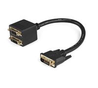 StarTech.com DVISPL1DD 1 ft, DVI-D/2 x DVI-D Câble répartiteur vidéo numérique-M/F