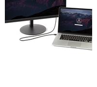 ST MDP2DPMM10 - Câble Mini DisplayPort vers DP 4K de 3 M.