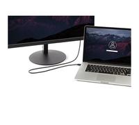 StarTech.com MDP2DPMM10 câble DisplayPort 3 m mini DisplayPort Noir