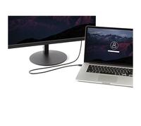 StarTech.com MDP2DPMM10 câble DisplayPort 3 m mini DisplayPort Noir