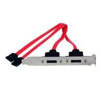 StarTech.com Support 2 SATA vers 2 Ports eSATA - Plaque d'Adaptation - 2x SATA Receptacle - 2x eSATA Plug - Panneau SATA interne vers externe - Serial ATA 150/300/600 - SATA (F) pour eSATA (M) -...