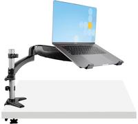 Startech.Com Support De Bureau Pour Ordinateur Portable-Bras Articulé Pc Portable Ou Écran 34"-Support Vesa-Plateau Ordinateur Portable Et Notebook Réglable-Fixation Pince Bureau(Armunonb1)