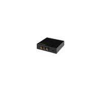 StarTech.com Convertisseur HDMI vers RCA avec audio