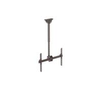 StarTech Flat-Screen TV Plafond Support - Court Pôle - Mouvement Total