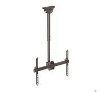 STARTECH Support plafond court pour télévision à écran plat VESA de 37"" à 75"" - Support écran multidirectionnel - Acier robuste