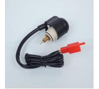 Starter De Carburateur P2r Pour Scooter Piaggio 125 Vespa Lx 2005 À 2020 Neuf