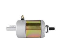 Starter Motor AP8552123 Compatible avec Manco Talon American SportWorks 260cc 300cc 2x4 4x4 ATV UTV Linhai Bighorn 4x4 Big Daddy 260 300 ATV
