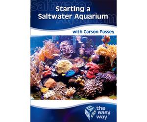 Starting A Saltwater Aquarium The Easy Way