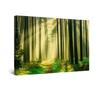 Startonight Impression sur Toile - Allée Verte Lumière Arbres Forêt Peinture - Grande Tableau Decoration Murale Prêt à Accrocher Peinture Arbres Grande 80 x 120 cm Idée Cadeau Élégante et Originale