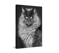 Startonight Impression Sur Toile Chat, Art Encadré Imprimée Tableau Motif Moderne Décoration Tendu Sur Chassis Prêt à Accrocher 60 x 90 cm Idée Cadeau Élégante et Originale Effet Lumineux Nocturne