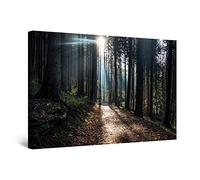Startonight Impression sur Toile Chemin à travers la Forêt - Tableau Nature - Decoration Murale Salon Moderne - Image sur Toile - 60 x 90 cm Idée Cadeau Élégante et Originale Effet Lumineux Nocturne