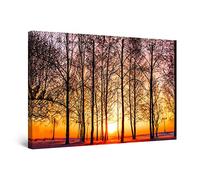 Startonight Impression Sur Toile Coucher de Soleil Romantique parmi les Arbres Éternels - Tableau Abstrait - Decoration Murale Salon Moderne - Image sur Toile - 60 x 90 cm Idée Cadeau Élégante
