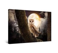 Startonight Impression sur Toile - Hibou et la Lune - Tableau Decoration Murale Salon Moderne - Image sur Toile - 60 x 90 cm Idée Cadeau Élégante et Originale Effet Lumineux Nocturne