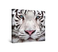 Startonight Impression Sur Toile Le Tigre de Sibérie aux Yeux Bleus - Tableau Animaux - Decoration Murale Salon Moderne - Image sur Toile - 80 x 80 cm Effet Lumineux Nocturne