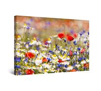Startonight Impression Sur Toile Lumineux Photo Fleurs Champ Coloré, Tableau Fleurs - Decoration Murale Salon Moderne - Image sur Toile - 60 x 90 cm Idée Cadeau Élégante et Originale