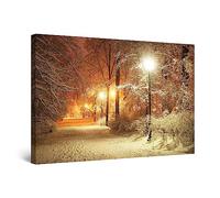 Startonight Impression Sur Toile Parc d'Hiver, Tableau Paysage- Decoration Murale Salon Moderne - Image sur Toile - 60 x 90 cm Idée Cadeau Élégante et Originale Effet Lumineux Nocturne