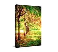 Startonight Impression Sur Toile Rangée d'Arbres, Tableau Nature- Decoration Murale Salon Moderne - Image sur Toile - 60 x 90 cm Idée Cadeau Élégante et Originale Effet Lumineux Nocturne