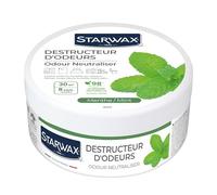 STARWAX - Destructeur d'odeurs - Elimine les odeurs de cuisine, renfermé, humidité, WC, animaux - Jusqu'à 8 semaines - d'origine naturelle - Parfum Menthe - Fabriqué en France - 300g