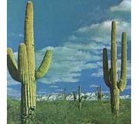 State of the Art Is on Fire / Plays Music Machine by Rocket From the Crypt (1996) Audio CD
