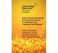 State-Owned Enterprises As Institutional Actors In Contemporary Capitalism And Beyond
