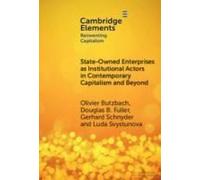 State-Owned Enterprises As Institutional Actors In Contemporary Capitalism And Beyond