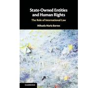 State-Owned Entities and Human Rights: The Role of International Law