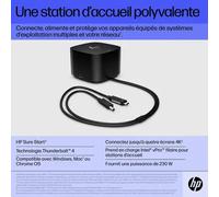 Station d’accueil HP Thunderbolt 280 W G4 avec câble combo