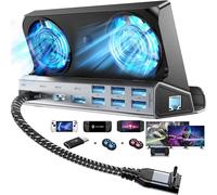 Station d'accueil Steam Deck 14 en 1 Double Ventilateurs de Refroidissement avec HDMI 2.0,6 Ports USB,1000M,100 W PD,DP1.2,Adaptateur VGA 40 Gbit/s pour Steam Deck/ROG Ally/Legion Go/Msi Claw