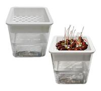 Station de bouturage - Porte- Transparent sans Sol - Pots de Fleurs d'extérieur, pour Les, pour Les, Violettes africaines, Balcon, Bureau, fenêtre, Salon