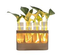 Station De Multiplication Végétale - Terrarium avec Éclairage LED Réglable,Vase en Verre pour Culture,pour Salon Chambre et Salle de Bain Adolescents Adultes