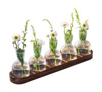 Station De Propagation De Plantas avec Support en Bois, Vases Hydroponiques en Verre, Vase D'avocat Vase en Verre pour Fleurs Terrarium Pot Planteur avec Support en Bois pour Plantas d'eau