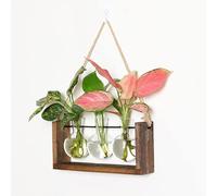 Station de propagation de plantes à suspendre au mur, terrarium avec support en bois, terrarium rétro pour plantes hydroponiques d'intérieur, plantes hydroponiques d'intérieur, décoration de maison et
