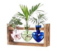 Station de Propagation de, Terrarium en Verre en Forme de cœur, Support en Bois pour Culture, décoration de Jardin
