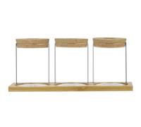 Station de Propagation des Plantes Plant Terrarium 3pcs Pantes de Propagation de plantation d'eau avec Plateau stations de Propagation Minimaliste Transparent pour Balcon de Toilette pour Table
