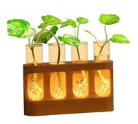 Station de Propagation des Plantes, Station de Propagation décorative avec lumière LED réglable, Support en Bois et 4 Tubes à essai en Verre pour Plantes hydroponiques, vases
