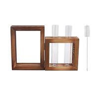 Station de Propagation des Plantes, Support en Bois, Tubes à essai en Verre, Vase hydroponique, Pot ER, Ornement de Table, Plantation d'eau
