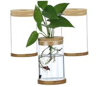 Station de Propagation des Plantes, Terrarium végétal 3 pièces Station de Propagation à Couvercle Transparent avec Plateau Pots Bricolage hydroponiques pour Bureau à Domicile, Terrarium