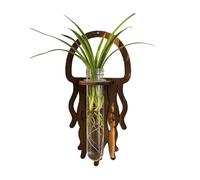 Station de propagation murale pour | Décoration d'intérieur en bois méduse, terrarium mural pour , pour jardiniers, débutants, bureau à domicile, salon, cuisine, salle de bain et balcon