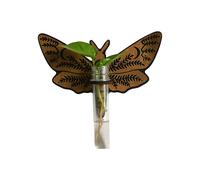 Station D'Élevage Murale pour Papillons, Supports de Plantes Suspendus en Bois, Plantes D'Intérieur avec Tubes en Plastique, B