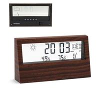 Station Météo FISHTEC Wood