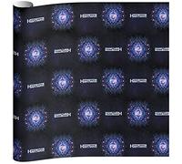 Stationeryteam 172HRD281 Papier de Couverture Hardwell: 2 X Feuille 100X70 cm
