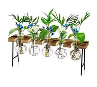 Stations de Propagation Terrarium de Plantes à de Bureau, Vase en Verre avec Support en Bois - Terrarium pour Plantes