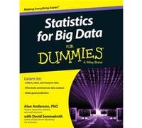 Statistics for Big Data For Dummies by Alan Middlesex Business School Fordham University New York University Anderson Alan Anderson, Consumer Dummies (Auteur)
