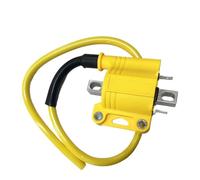 Stator Bobine D'Allumage Pour 4Temps Pour 2Temps EFI Allumage De Moto Bobines D'injection Électronique De Carburant