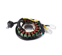 Stator Bobine De Stator De Générateur OEM 4BD-85510-20 1x Pour YFM Pour YFB 250 YFB250 Pour Timberwolf Pour Bear Pour Tracker Pour California