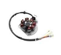 Stator Bobine De Stator De Moto pour 125 250 300 pour EXC/pour EXC pour Six pour Jours 200 pour XC pour XC-W 54839204000 Bobine de stator