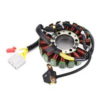 Stator Bobine Générateur Compatible Avec NSS250EX Pour MF-08 Pour Forza 250 EX 2004 2005 2006 2007 Bobine De Stator Magnétique De Moto Remplacement De Moteur 31120-KSV-J12