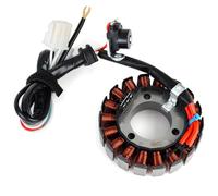 Stator Bobine Générateur Compatible Avec YBR125ED 3D9 2008 2009 2010 2011 2012 2013 2014 Moto Magnéto Stator Bobine Générateur Moteur 3D9-H1410-12 3D9-H1410-10